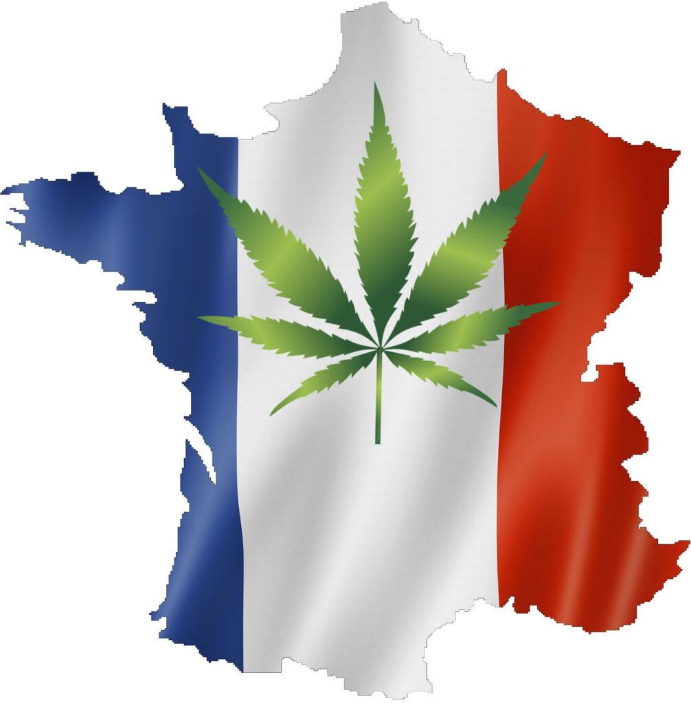 Parti du Cannabis en France (pCF)